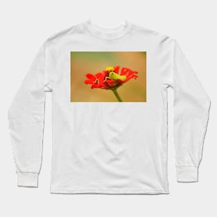 oli buddies Long Sleeve T-Shirt